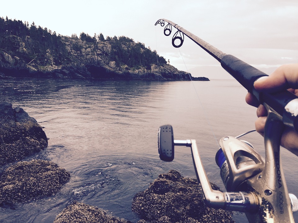 baitcasting reel